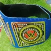 Blue universal championship commemorative title belt free customization name plate personalization WWE replica