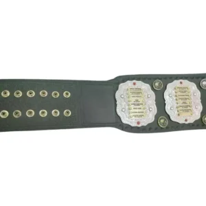 IWGP JR Heavyweight Championship replica belt custom side plates zinc detail