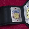 AWA world title belt genuine leather strap snap closure 46 inch wrestling heavyweight championship replica