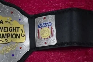 AWA World Heavyweight Championship Belt custom side plates view