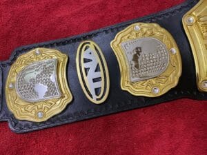 TNA World Heavyweight Championship Replica Belt Side Plates Gold View