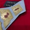 TNA Knockouts Championship Belt side view showing 4mm brass plate thickness women's title