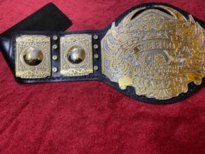TNA Midwest Replica Belt side view