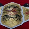 TNA Knockouts Championship center plate 4mm brass gold plating women's belt detail closeup