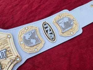 TNA World Heavyweight Championship Belt Custom Side Plates Gold View