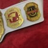 TNA Impact heavyweight championship belt side plates with authentic wrestling design