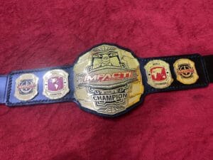 TNA Impact Wrestling Heavyweight Championship belt full view
