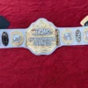 TNA World Heavyweight Championship Belt Gold Full View