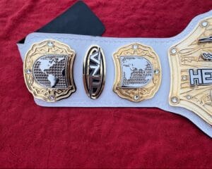 TNA World Heavyweight Championship Belt Custom Side Plates Gold View