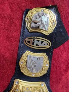 TNA World Heavyweight Championship Replica Belt Side Plates Gold View