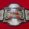 TNA x division championship replica with 4mm brass plates and genuine cowhide leather strap wrestling title