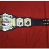 TNA World Tag Team Championship Belt side view showing 4mm brass plate thickness heavyweight