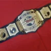 TNA World Tag Team Championship Belt full length all brass plates visible heavyweight complete