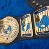 Replica WWE Intercontinental Belt Side Plates Seven Continents Design – CNC Metal